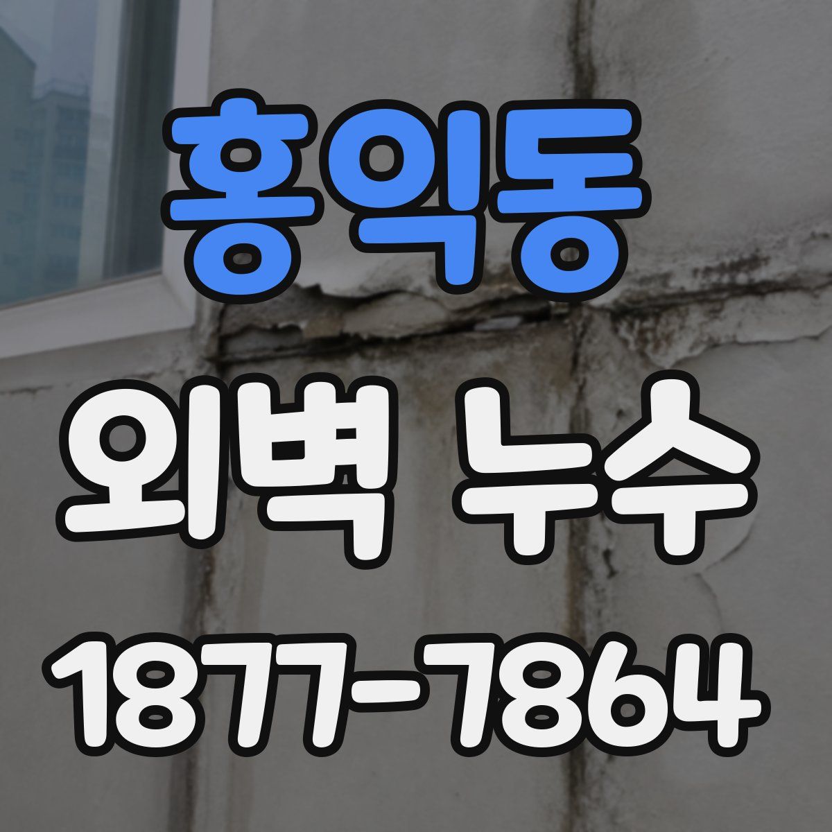 홍익동 외벽 누수