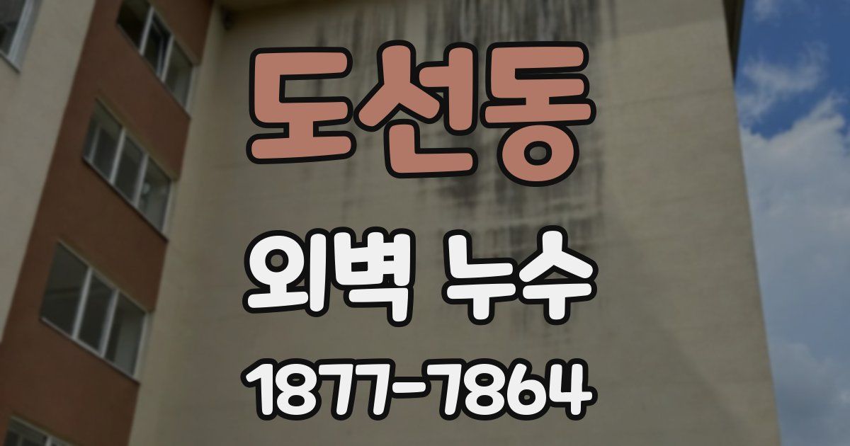 도선동 외벽 누수