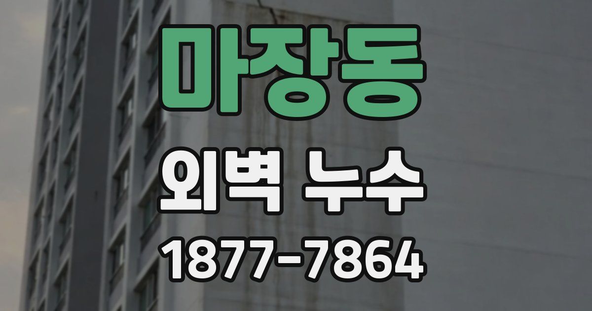 마장동 외벽 누수