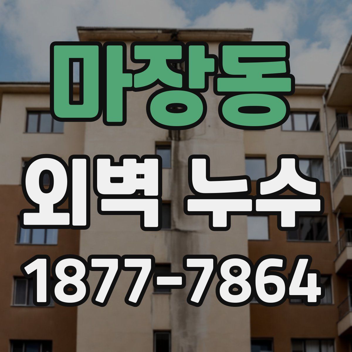 마장동 외벽 누수