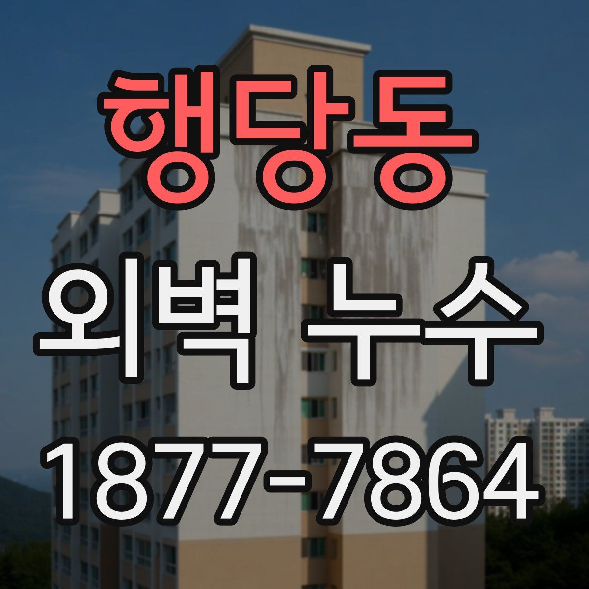 행당동 외벽 누수