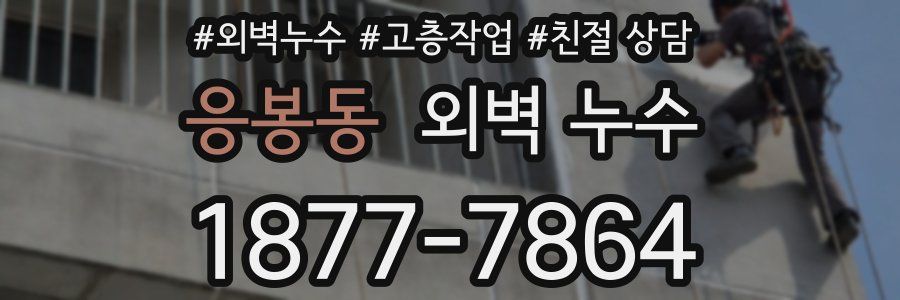 응봉동 외벽 누수