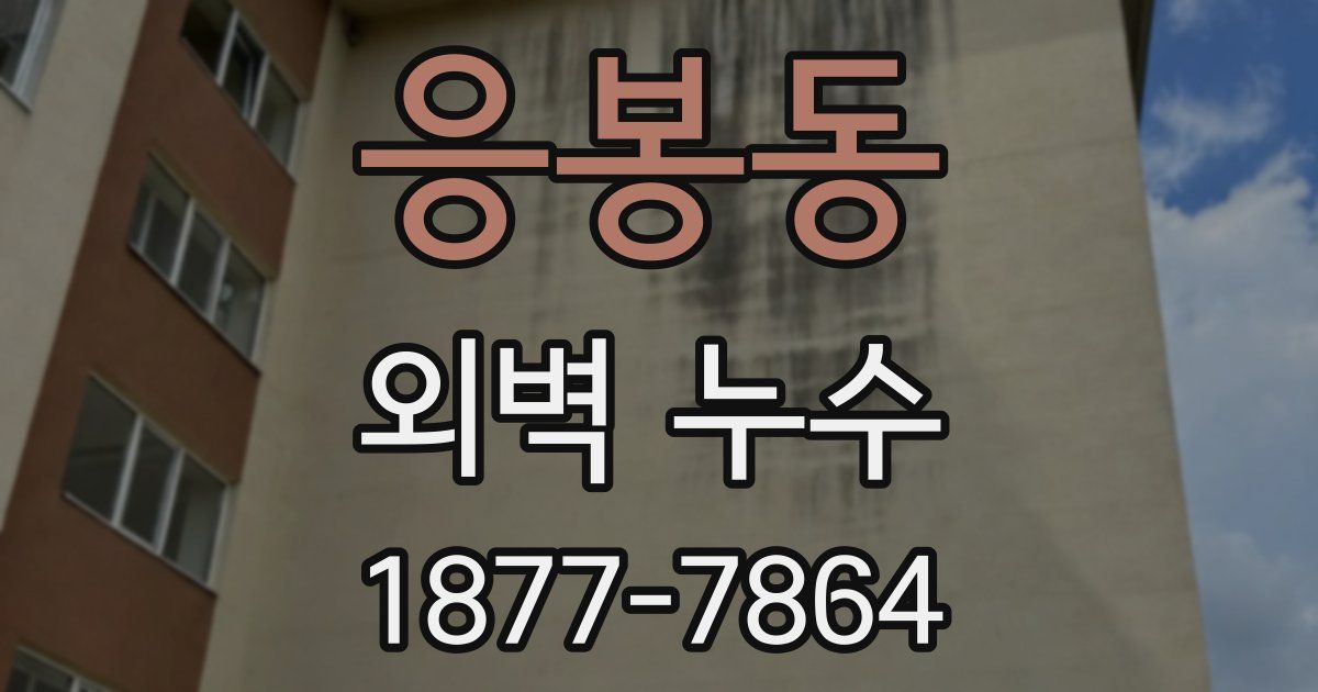 응봉동 외벽 누수