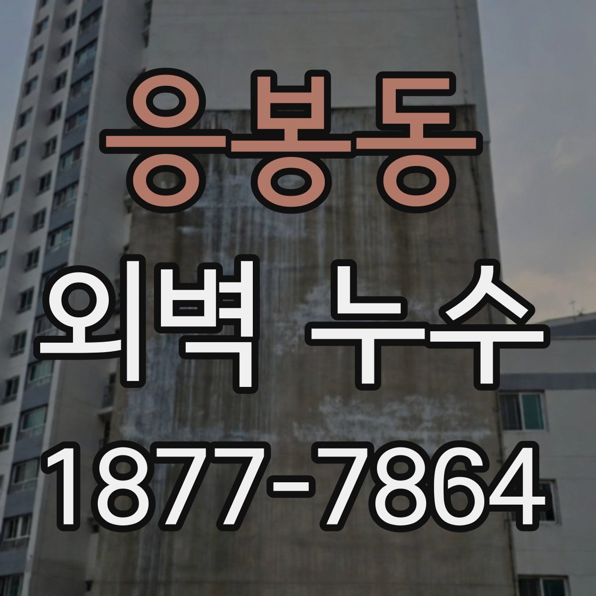응봉동 외벽 누수