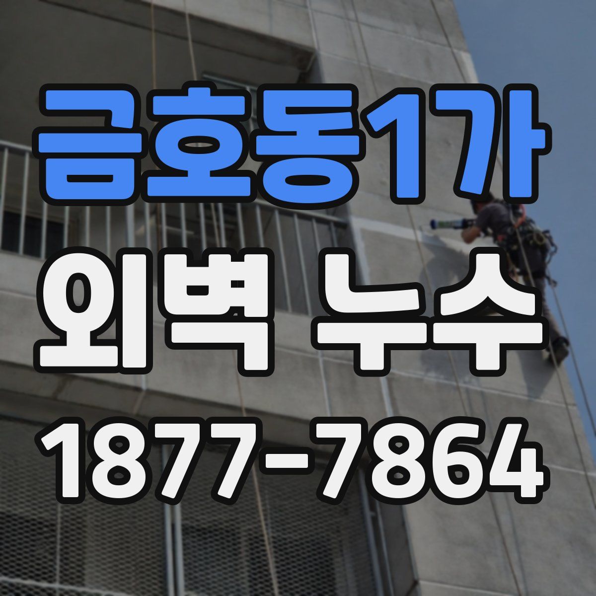 금호동1가 외벽 누수