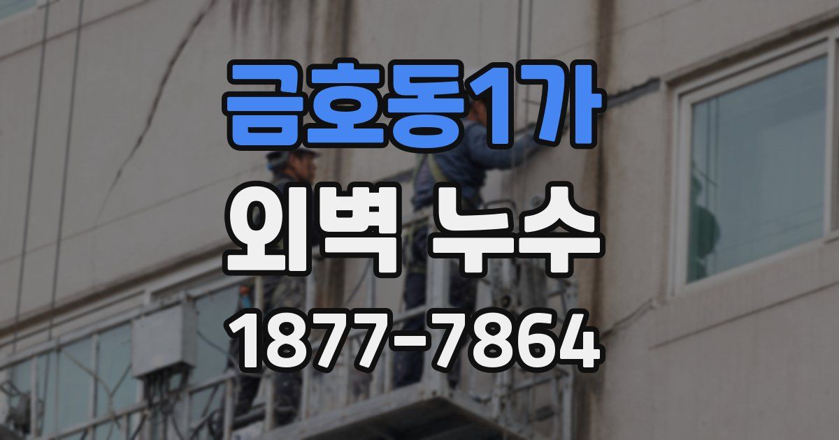 금호동1가 외벽 누수