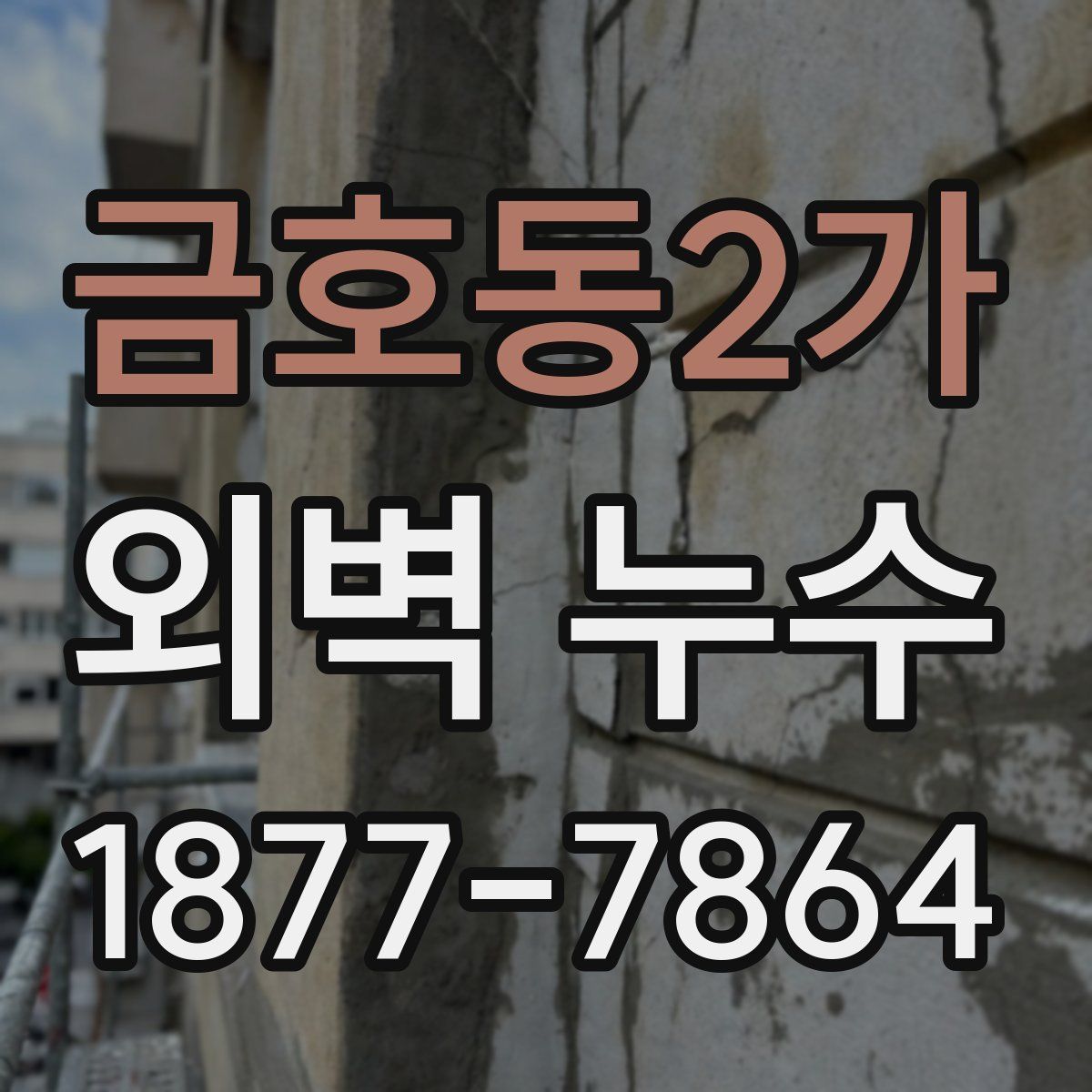 금호동2가 외벽 누수