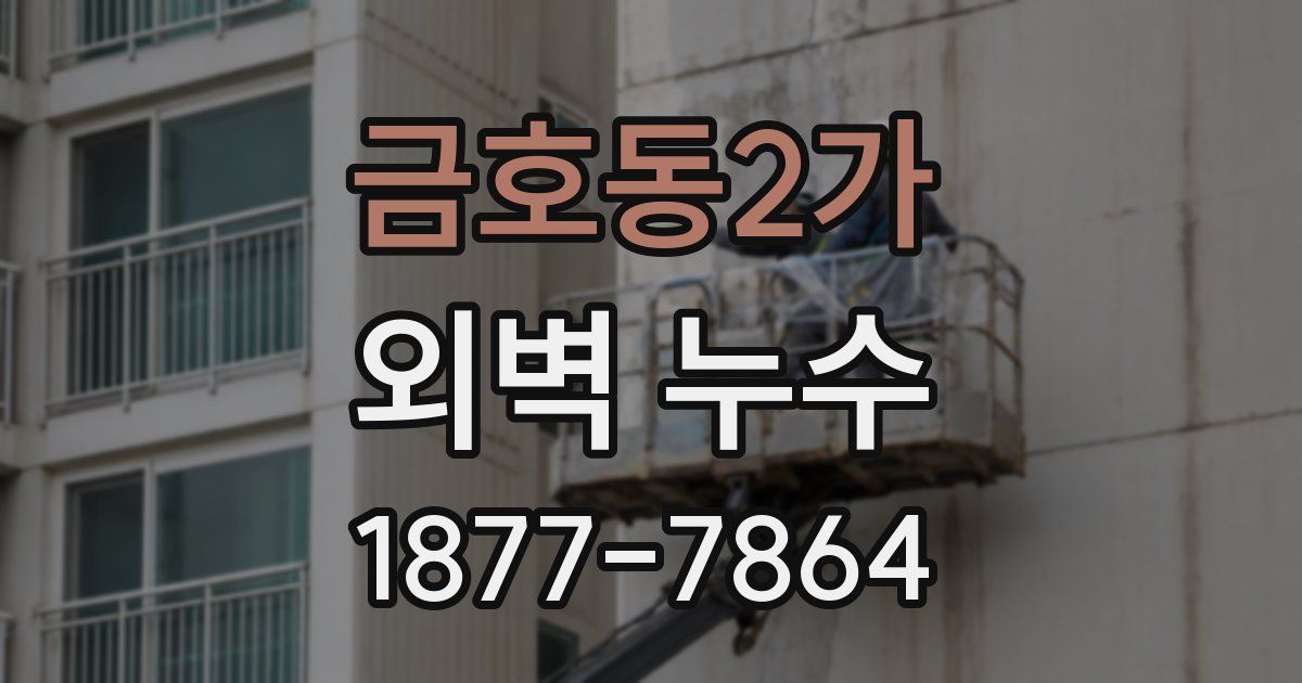 금호동2가 외벽 누수