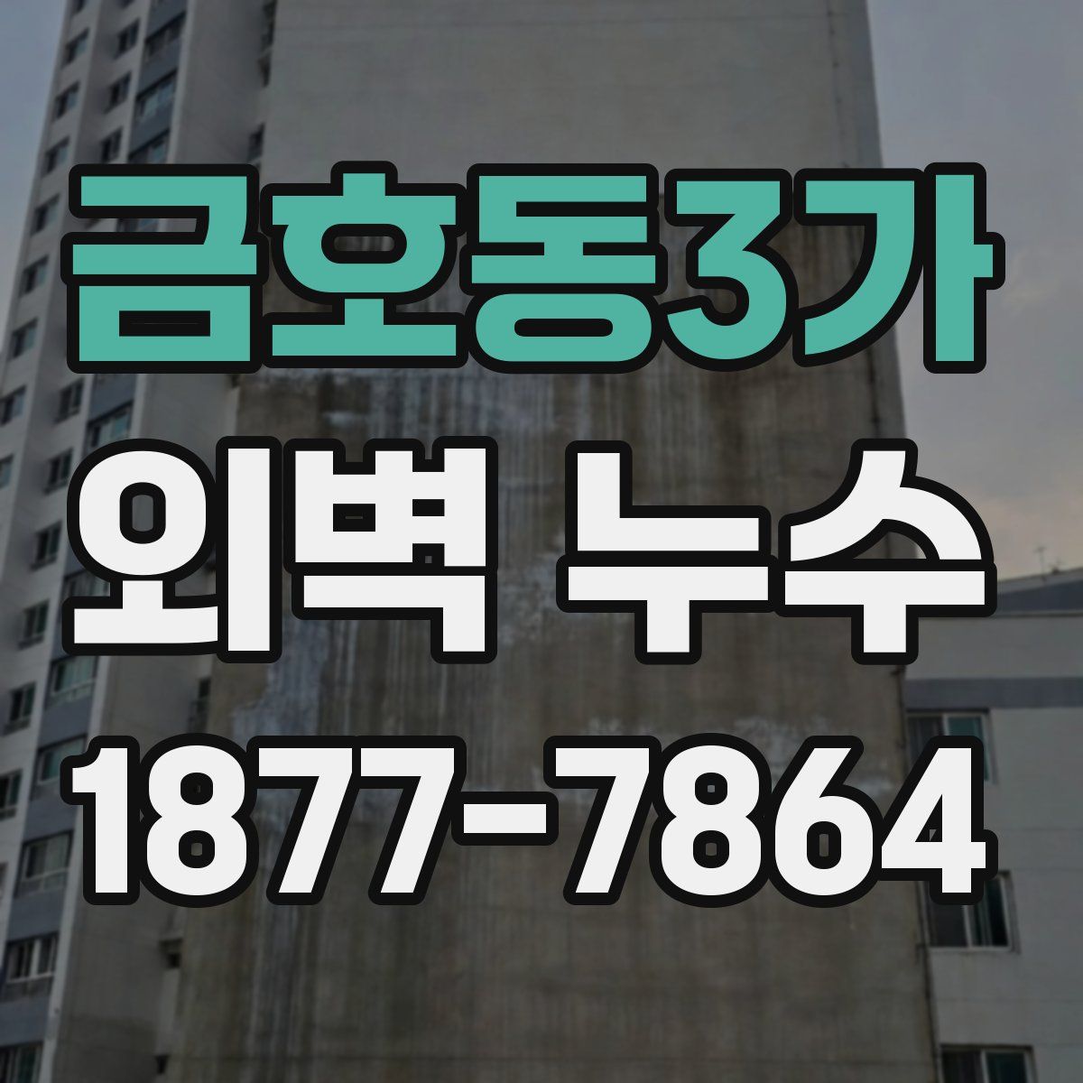 금호동3가 외벽 누수