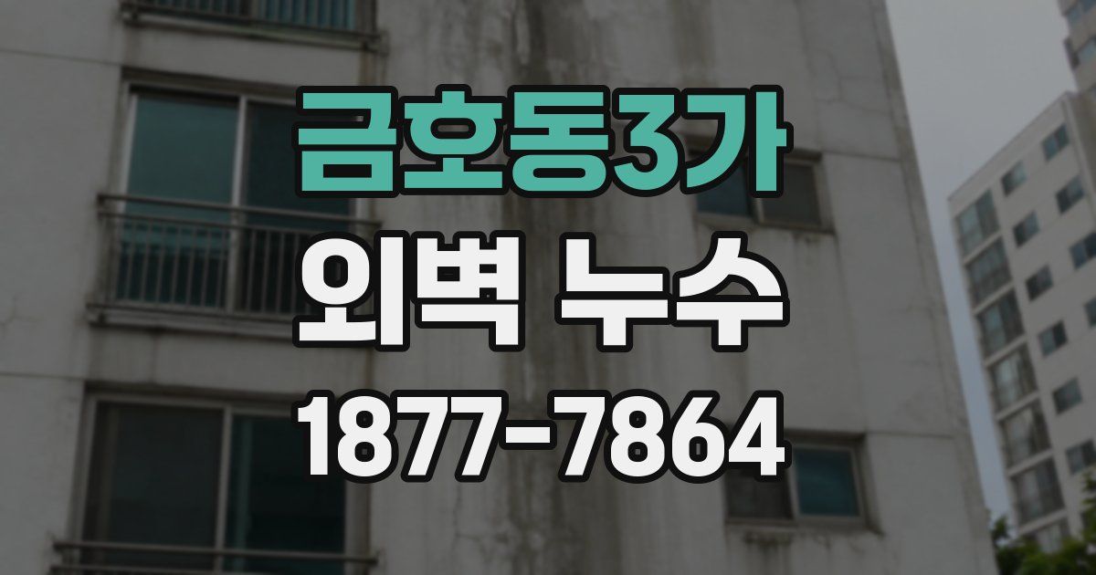 금호동3가 외벽 누수