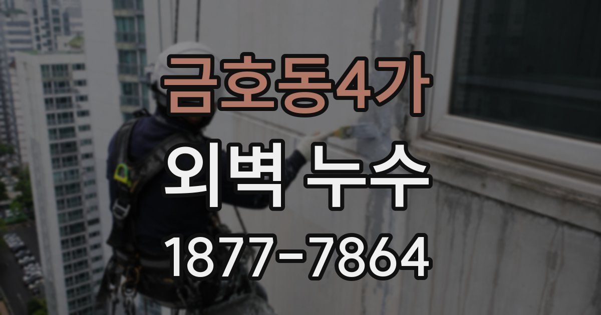 금호동4가 외벽 누수