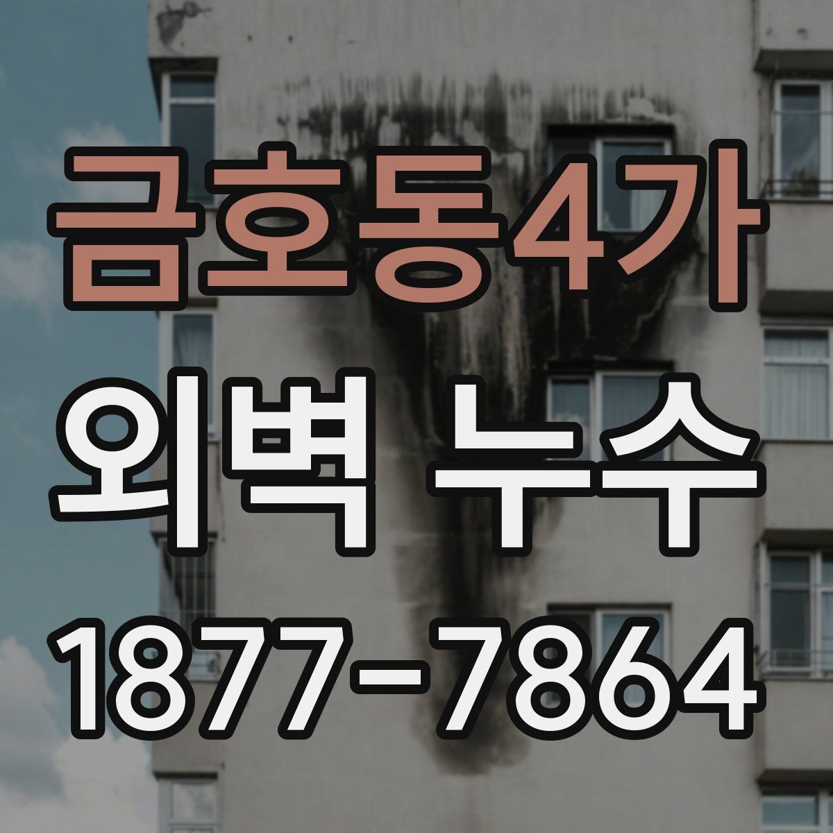 금호동4가 외벽 누수