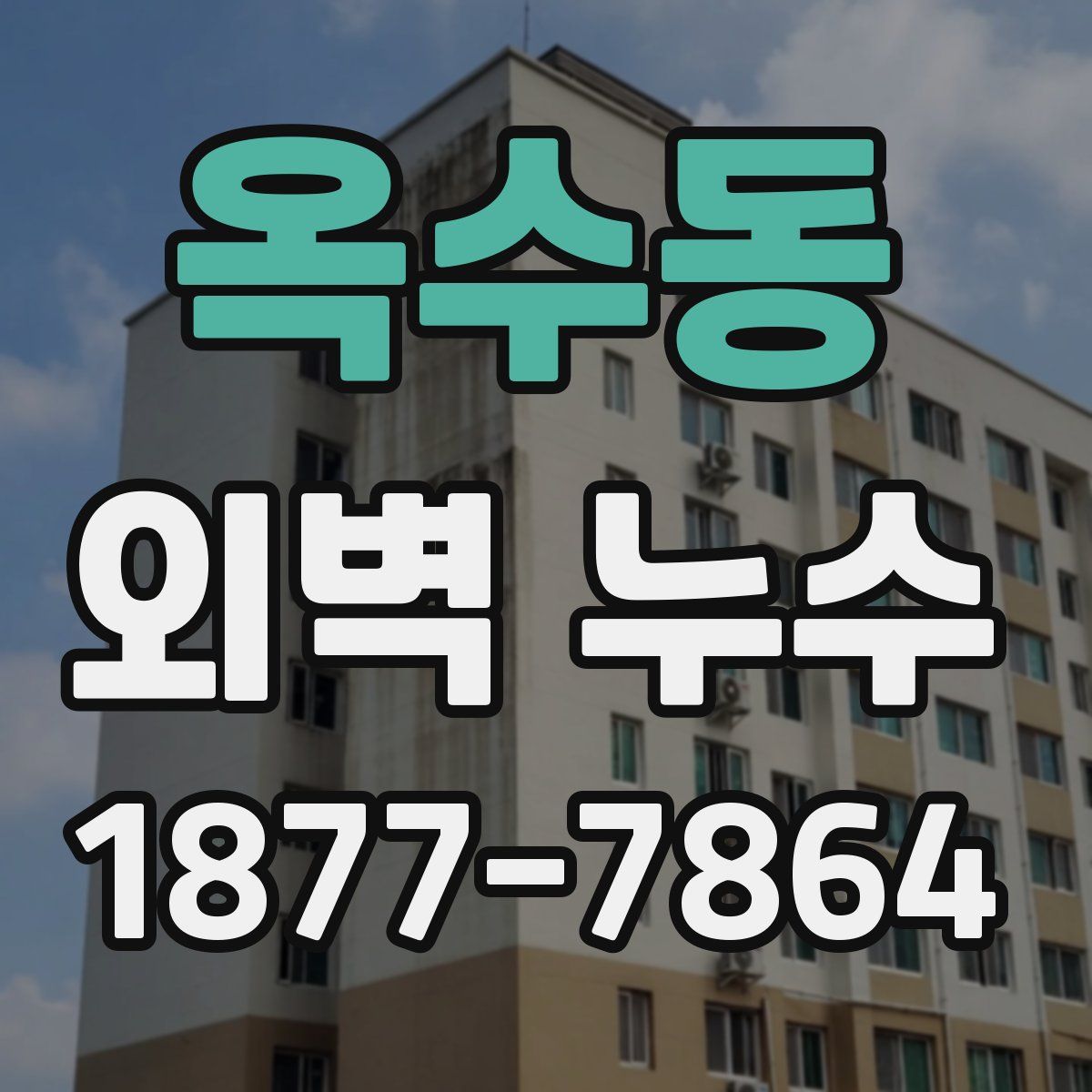 옥수동 외벽 누수