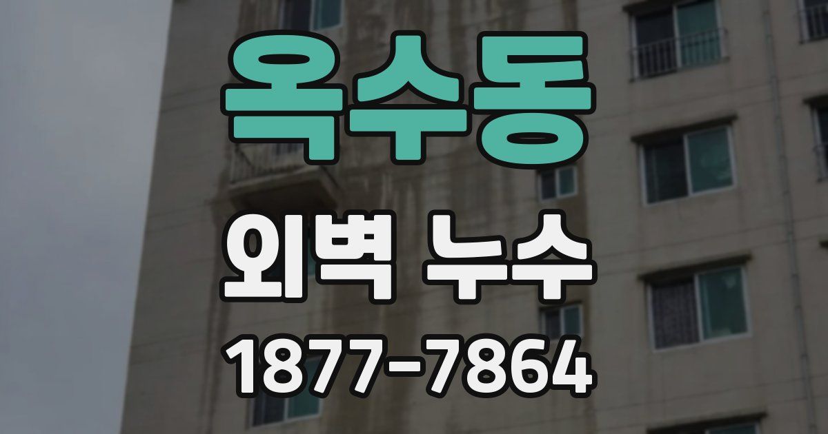 옥수동 외벽 누수