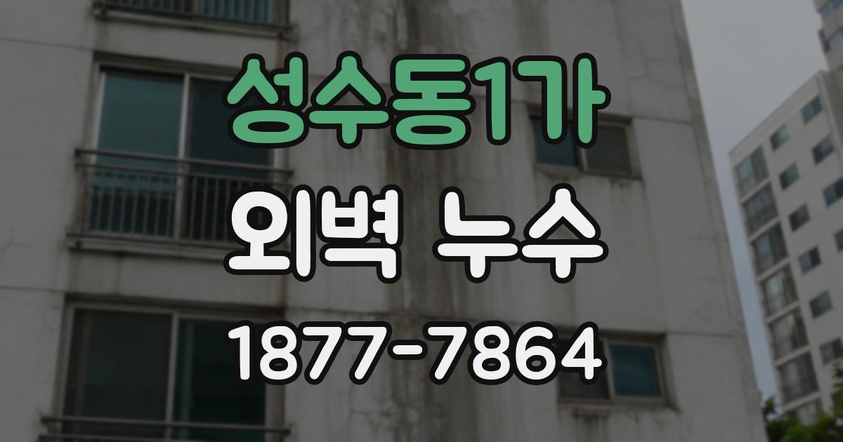 성수동1가 외벽 누수