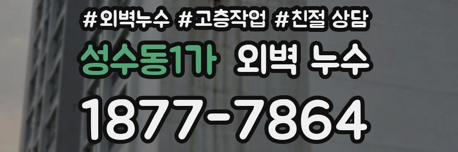 성수동1가 외벽 누수