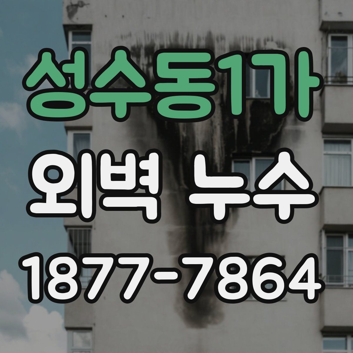 성수동1가 외벽 누수