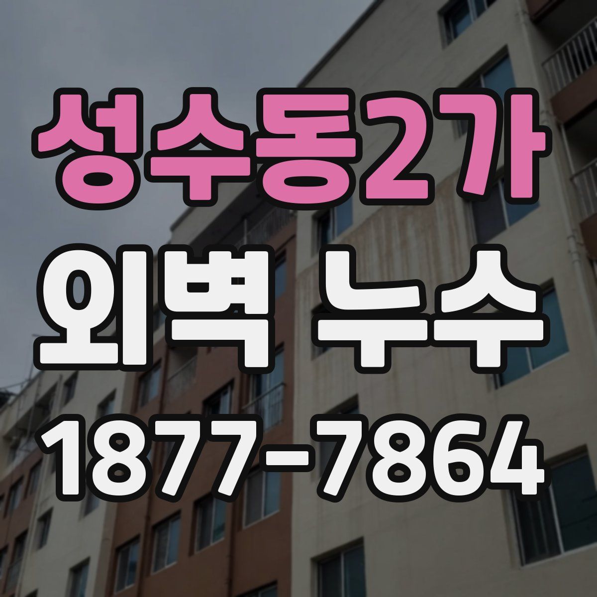 성수동2가 외벽 누수