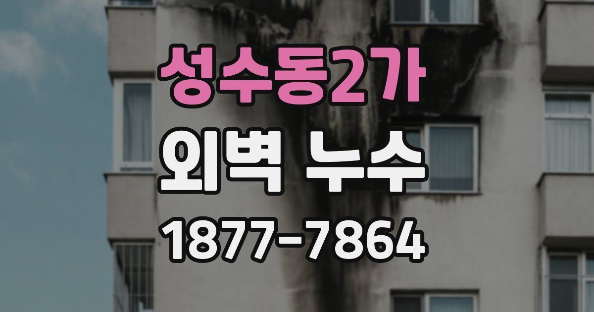 성수동2가 외벽 누수