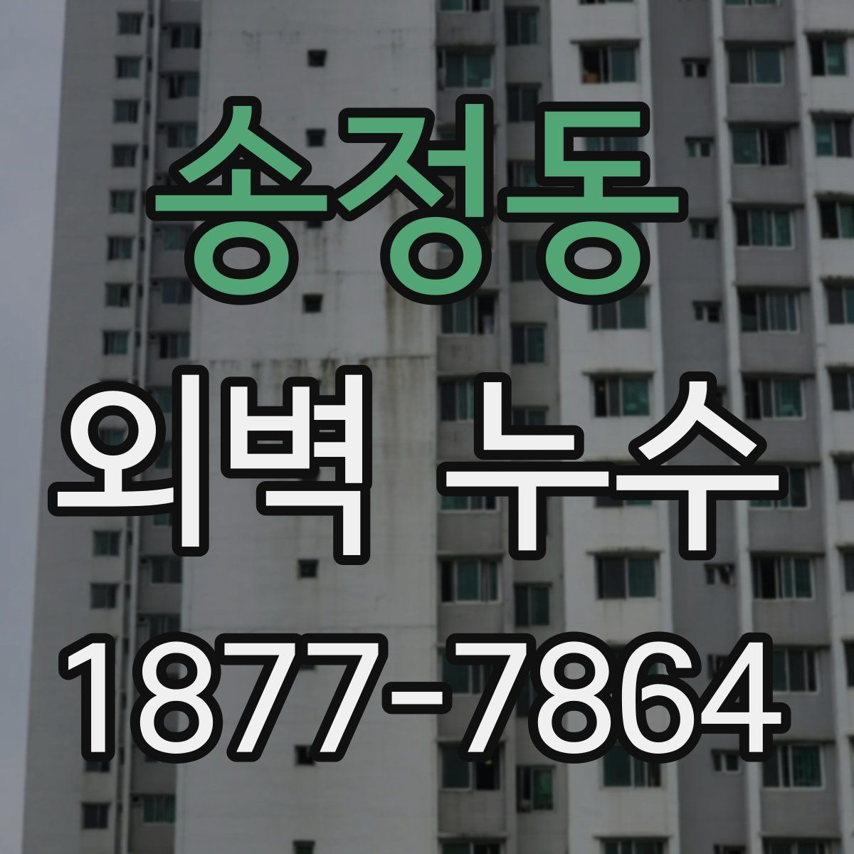 송정동 외벽 누수