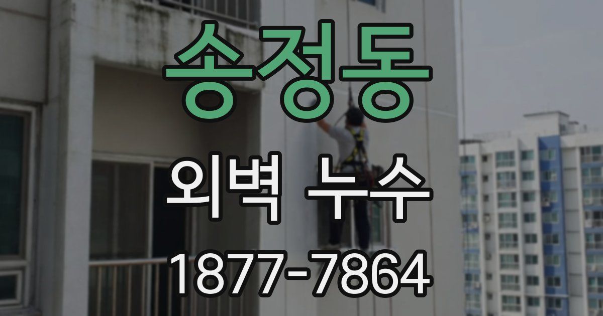 송정동 외벽 누수