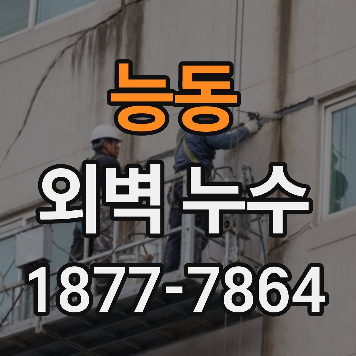 능동 외벽 누수