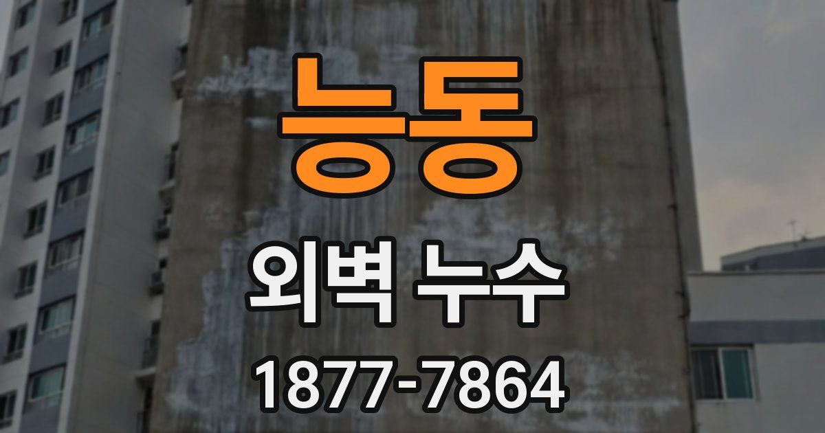 능동 외벽 누수