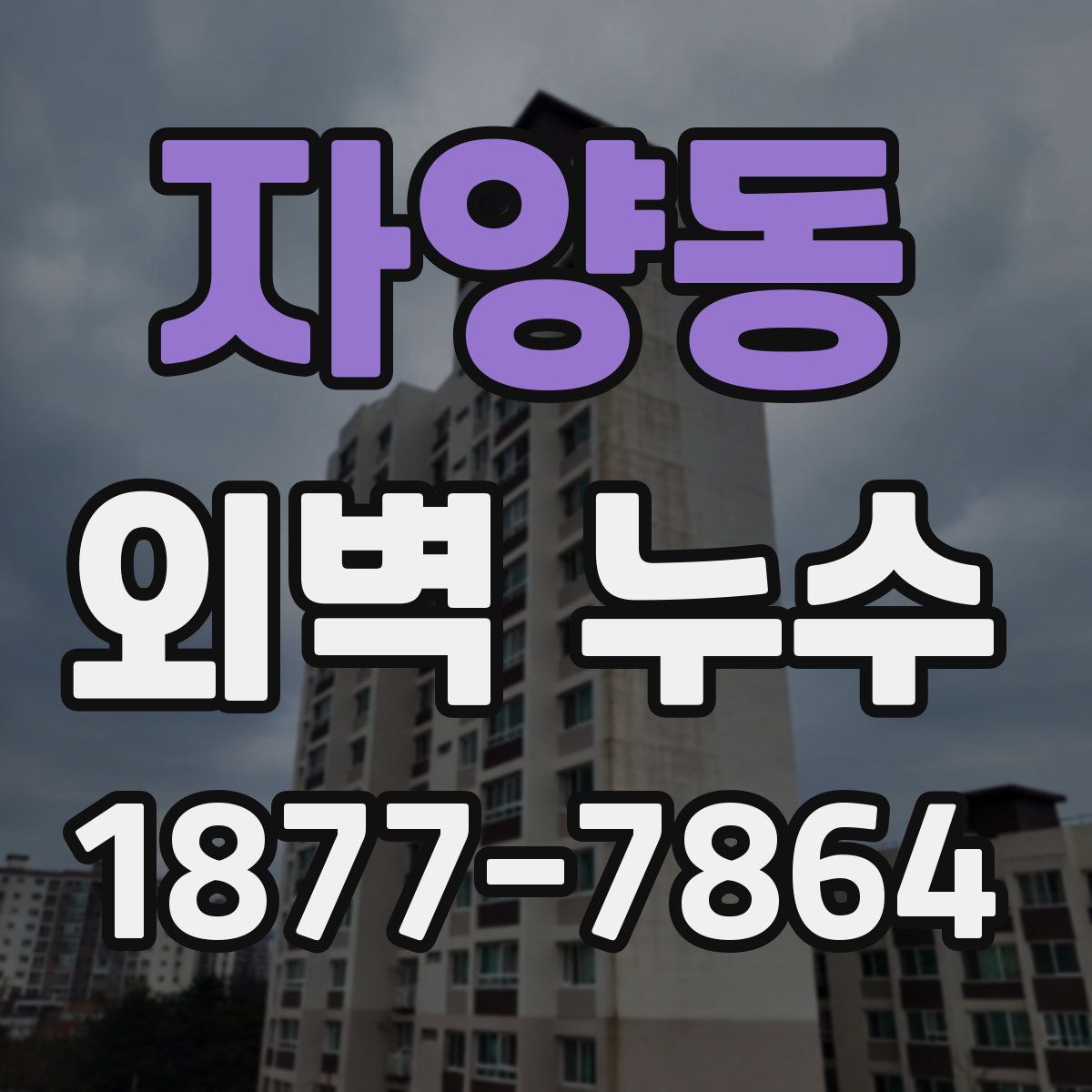 자양동 외벽 누수