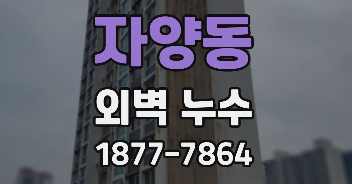자양동 외벽 누수