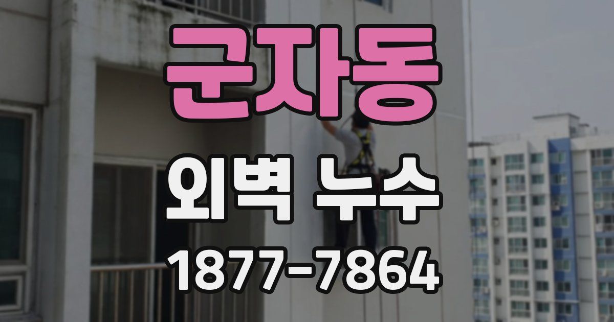군자동 외벽 누수
