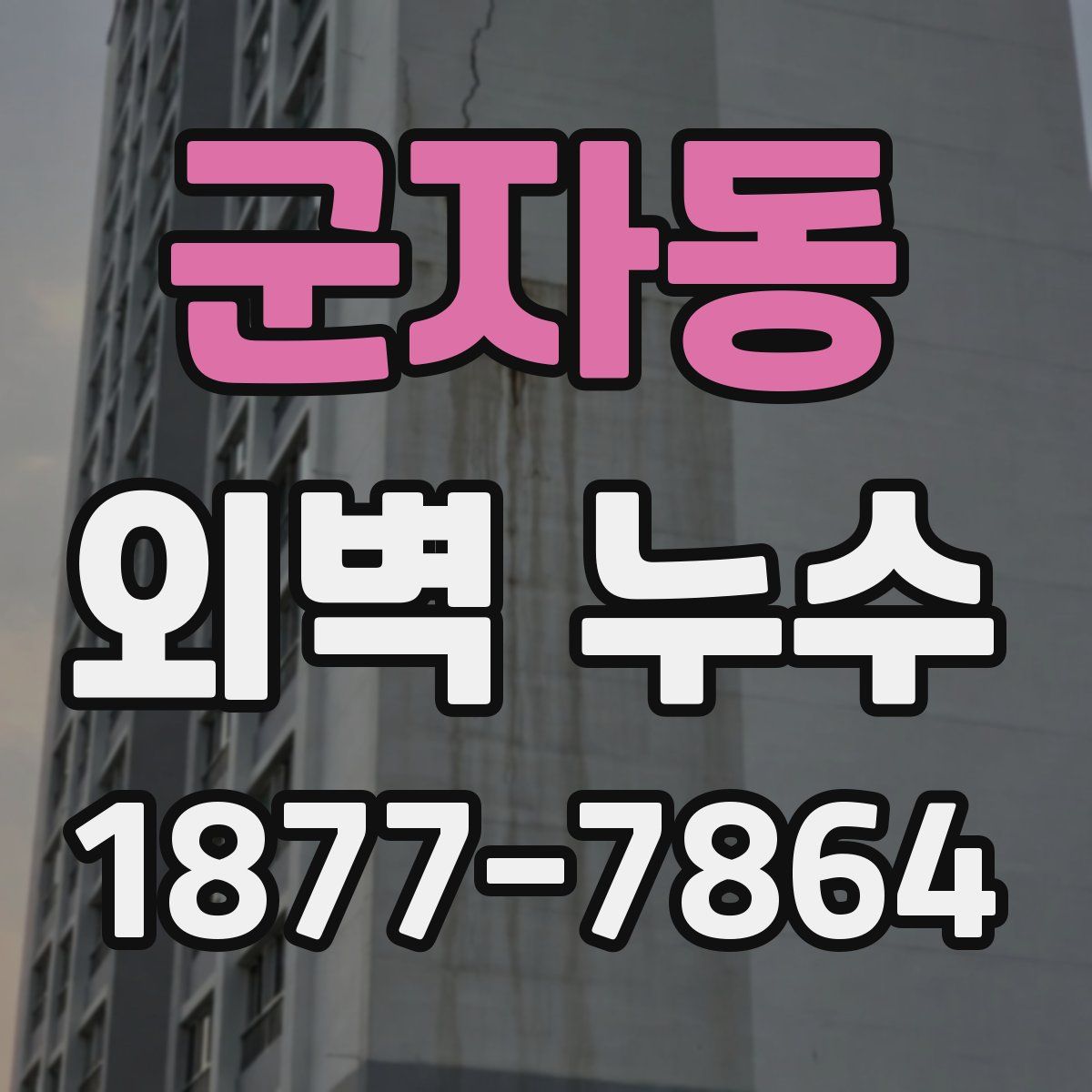 군자동 외벽 누수