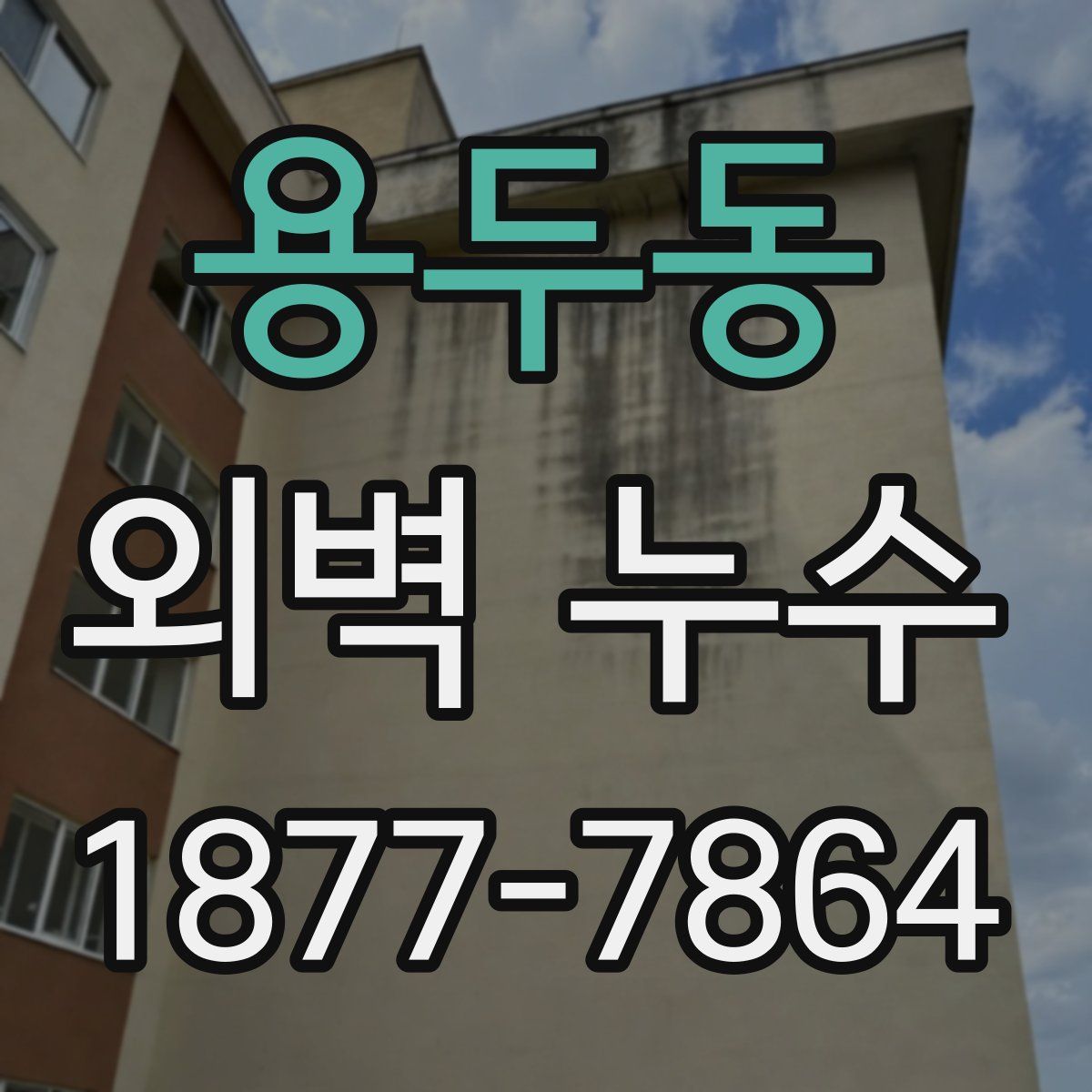 용두동 외벽 누수