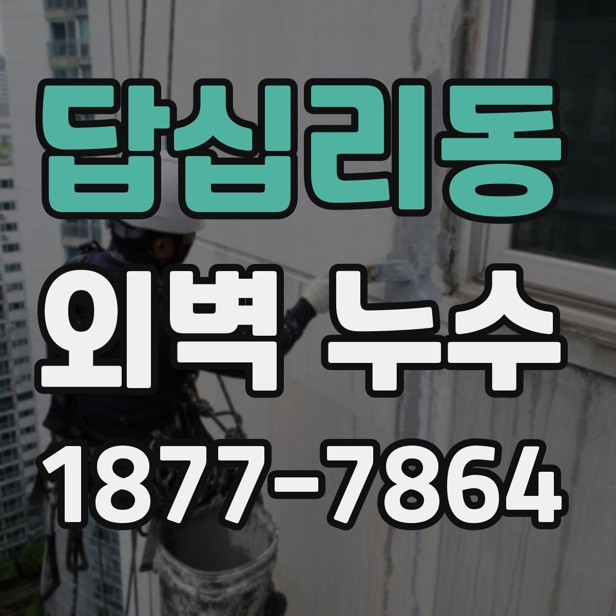 답십리동 외벽 누수 원인별 대응 방식