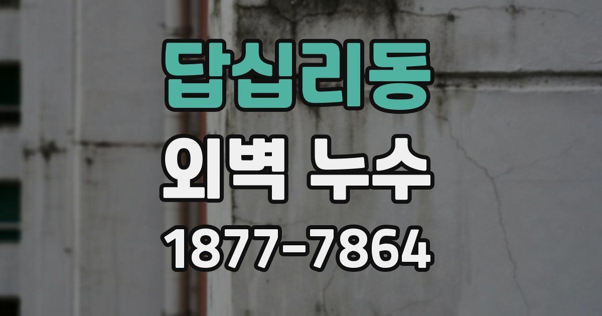 답십리동 외벽 누수