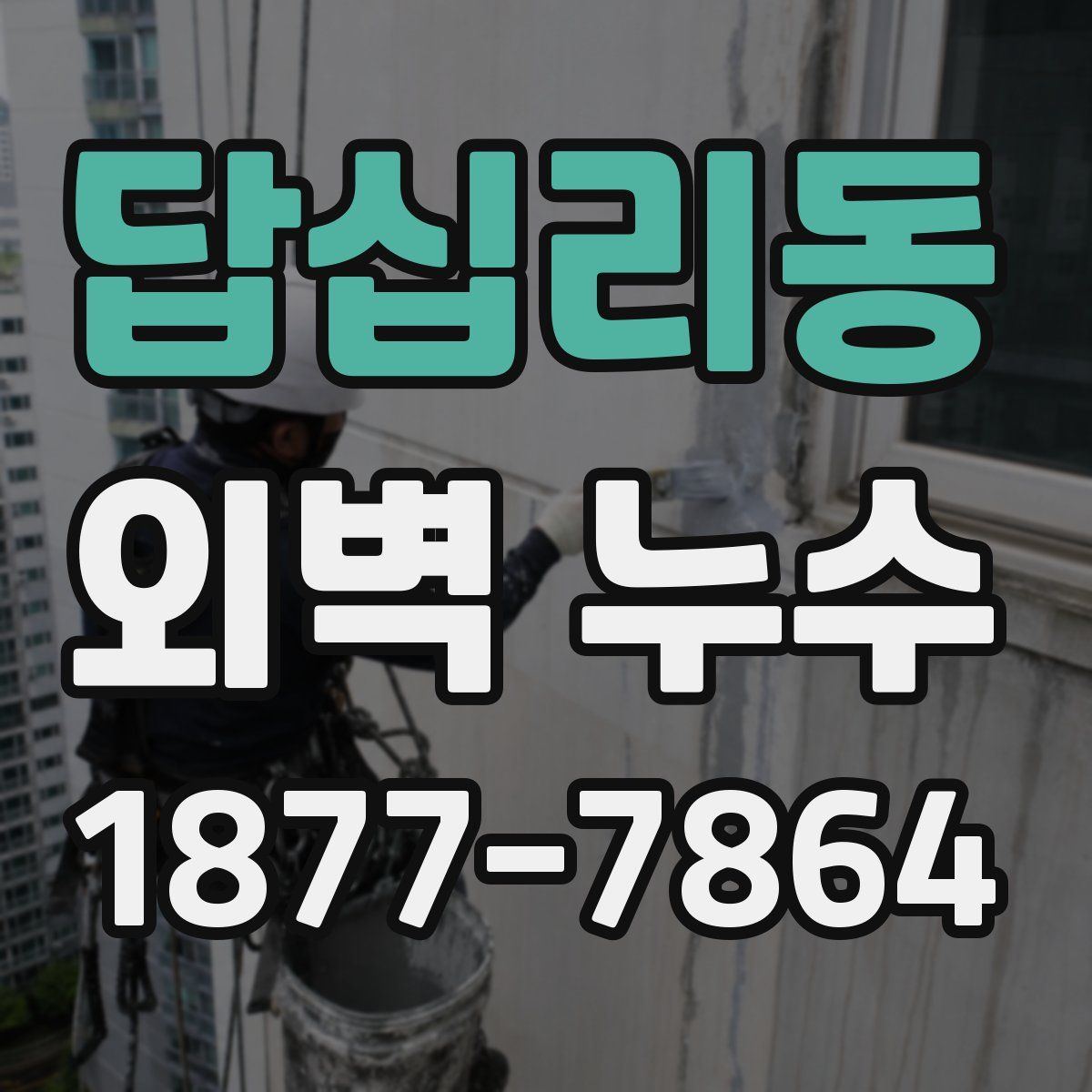 답십리동 외벽 누수