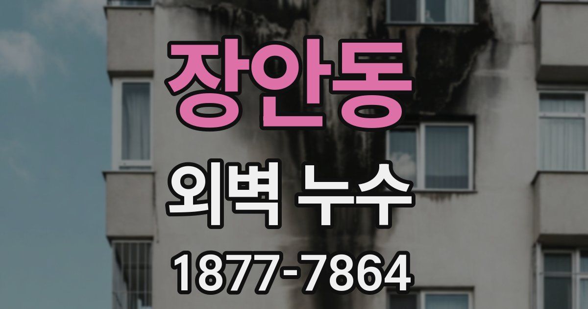 장안동 외벽 누수