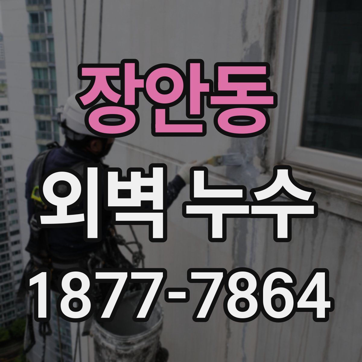 장안동 외벽 누수