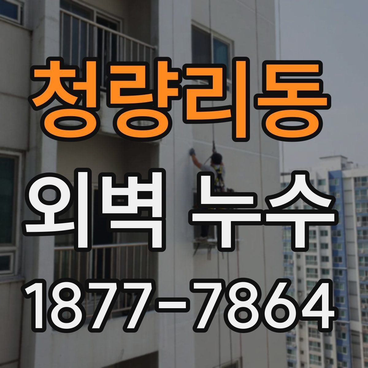 청량리동 외벽 누수 점검 시 전문가 선택 기준