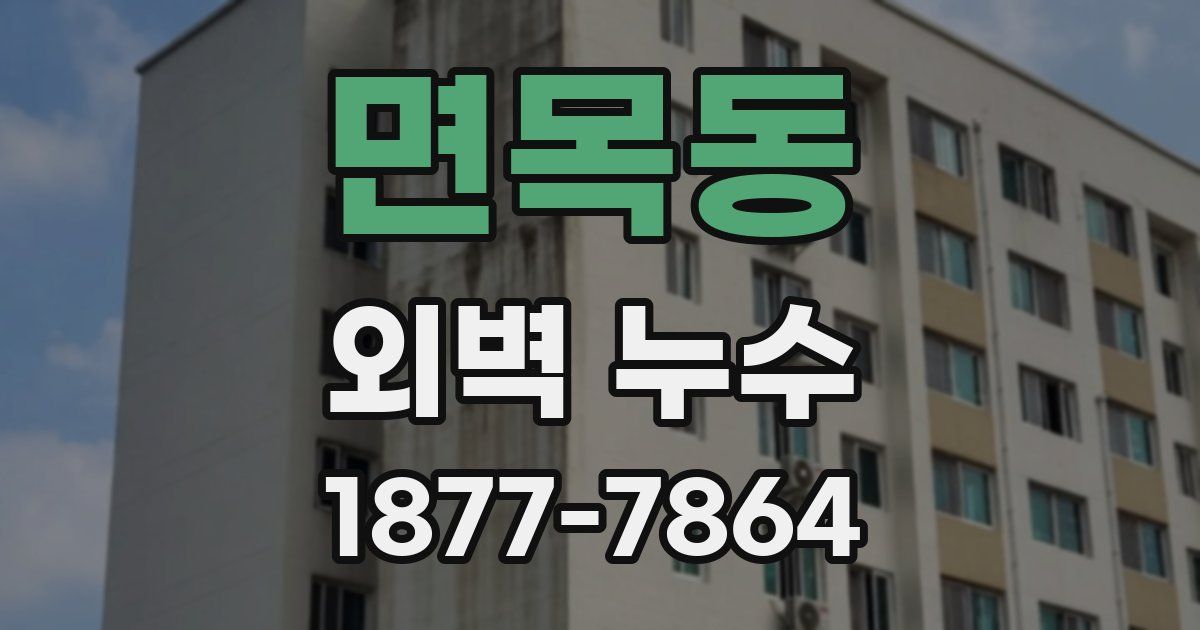 면목동 외벽 누수