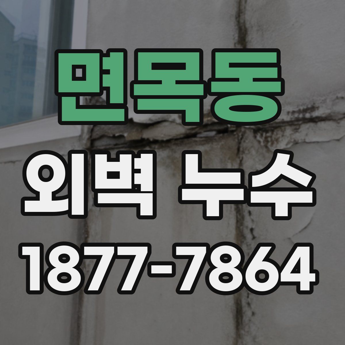 면목동 외벽 누수