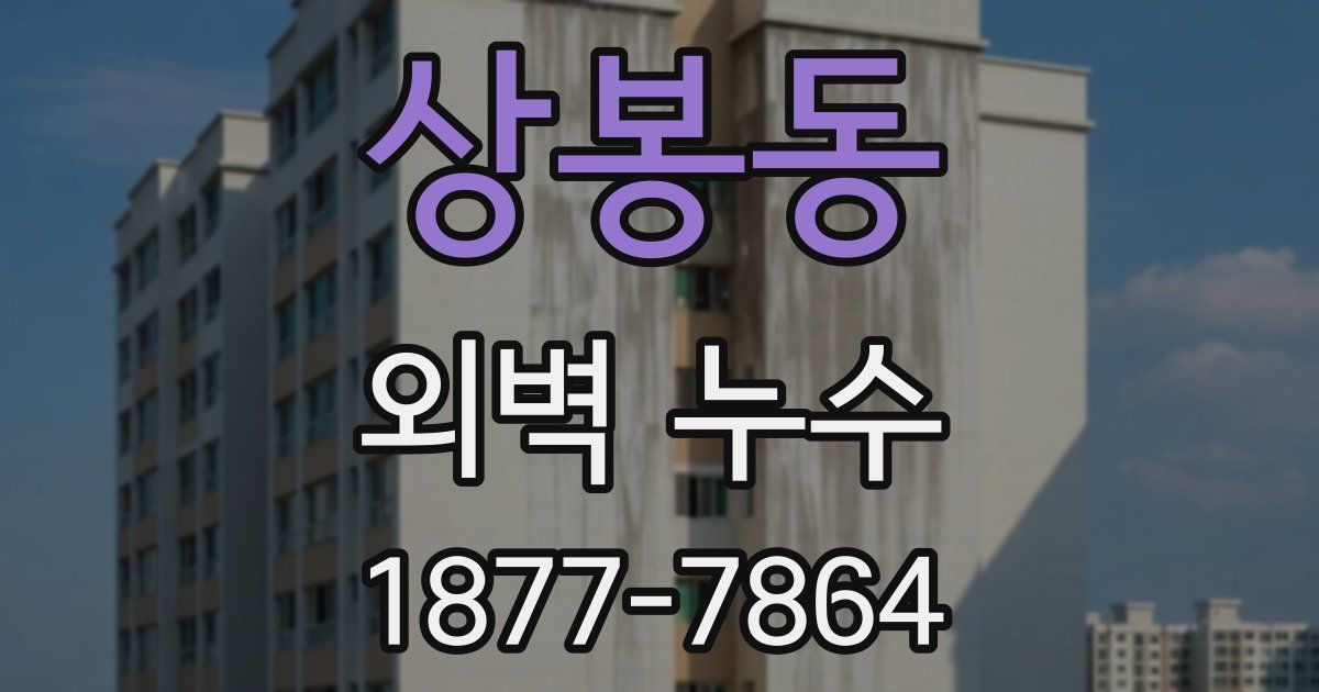 상봉동 외벽 누수