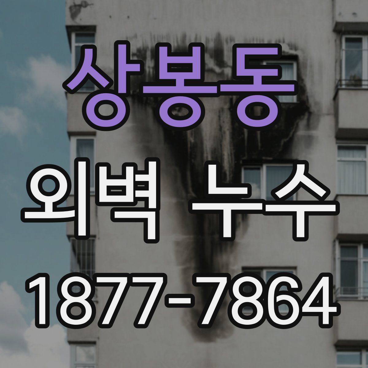 상봉동 외벽 누수