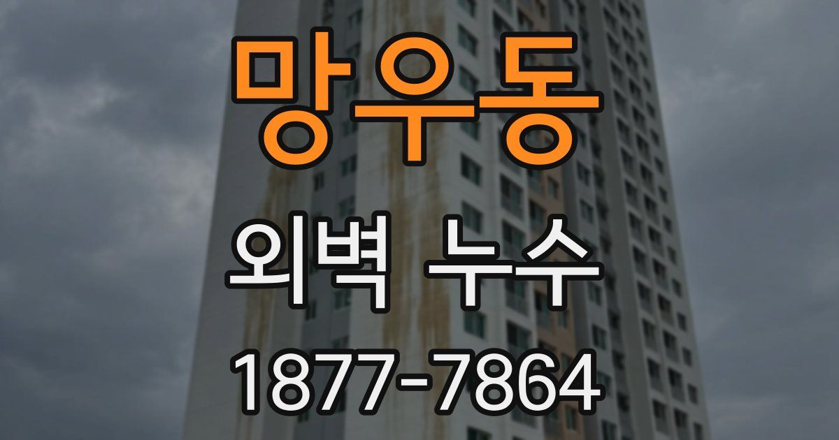 망우동 외벽 누수