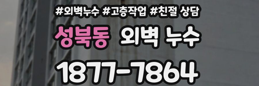 성북동 외벽 누수