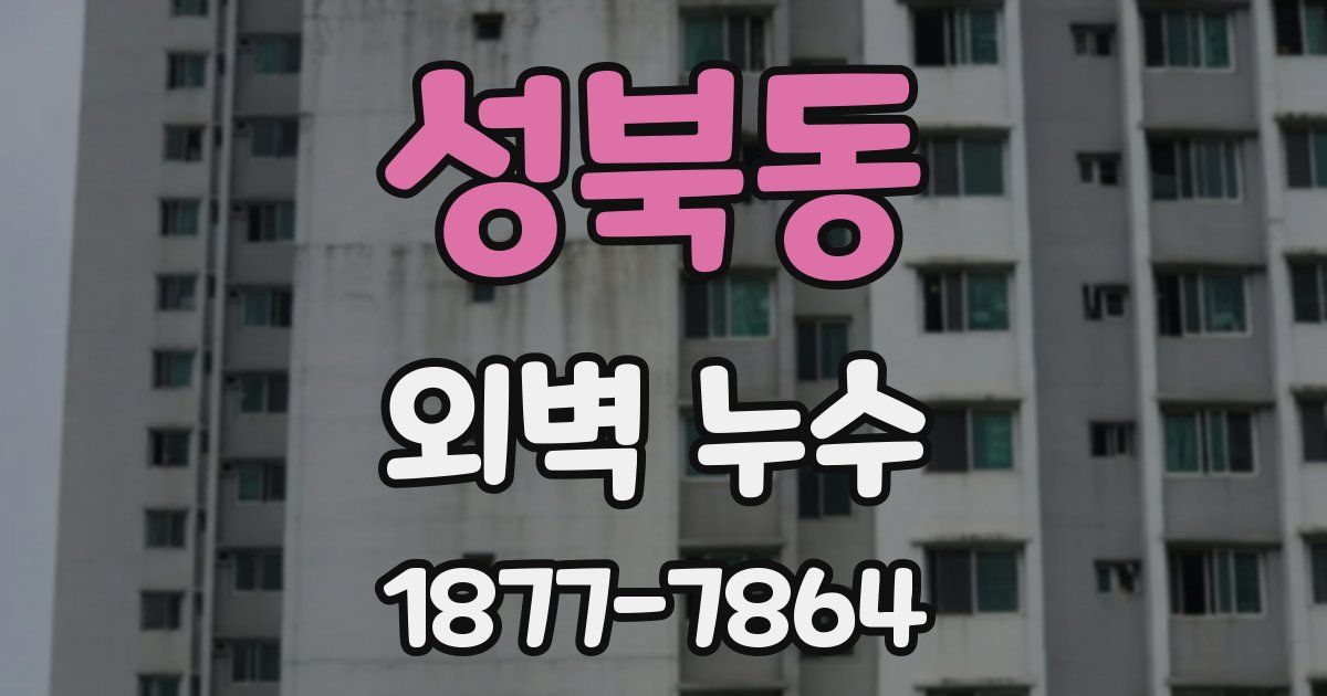 성북동 외벽 누수