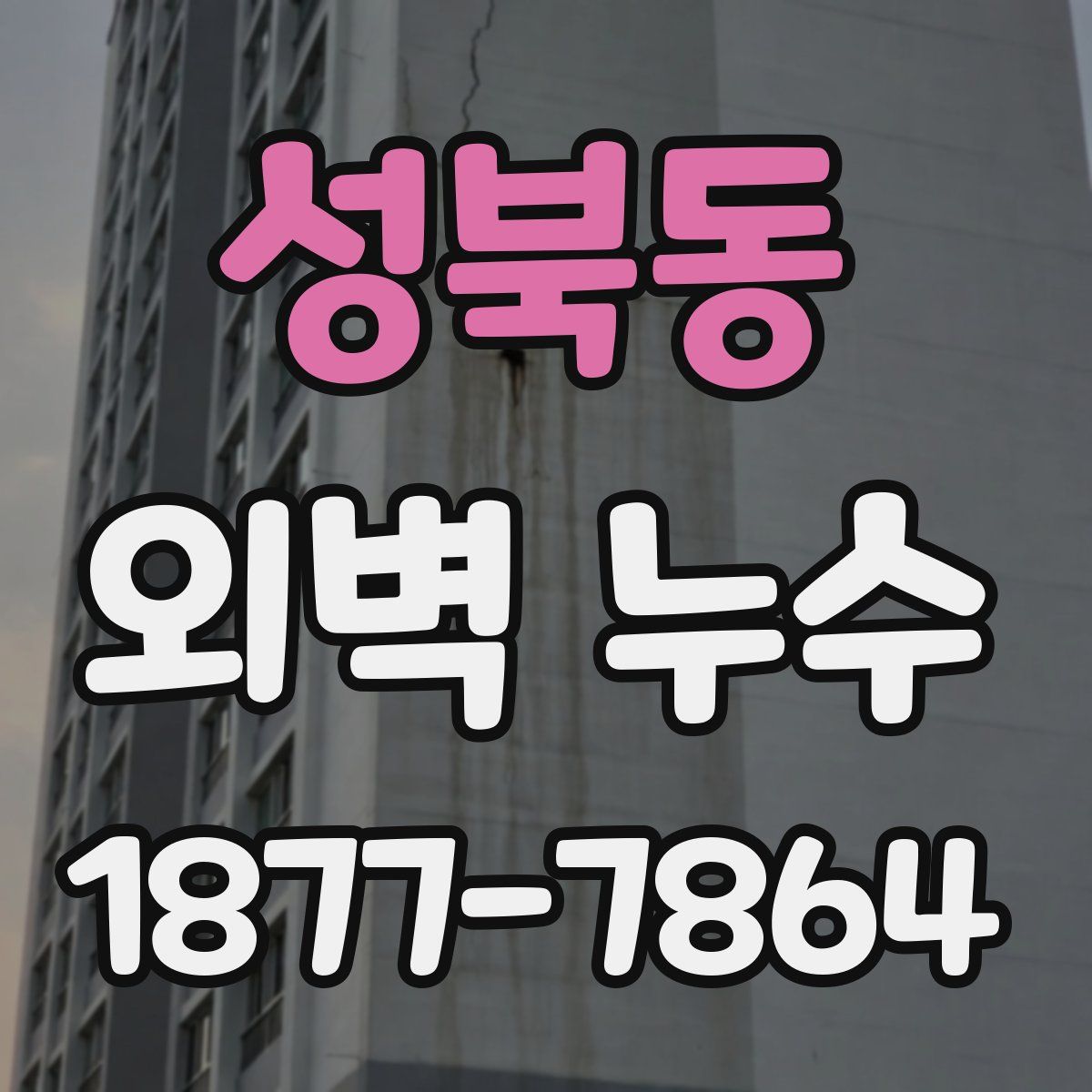 성북동 외벽 누수