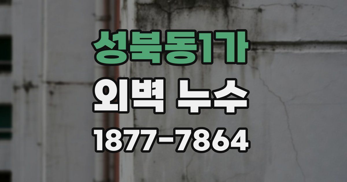성북동1가 외벽 누수