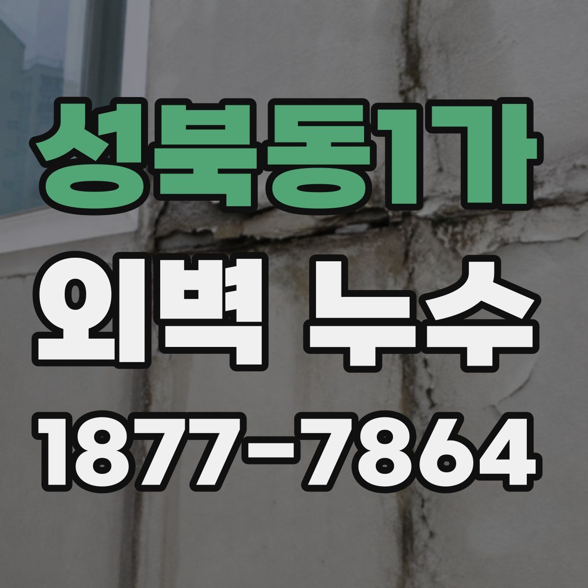 성북동1가 외벽 누수