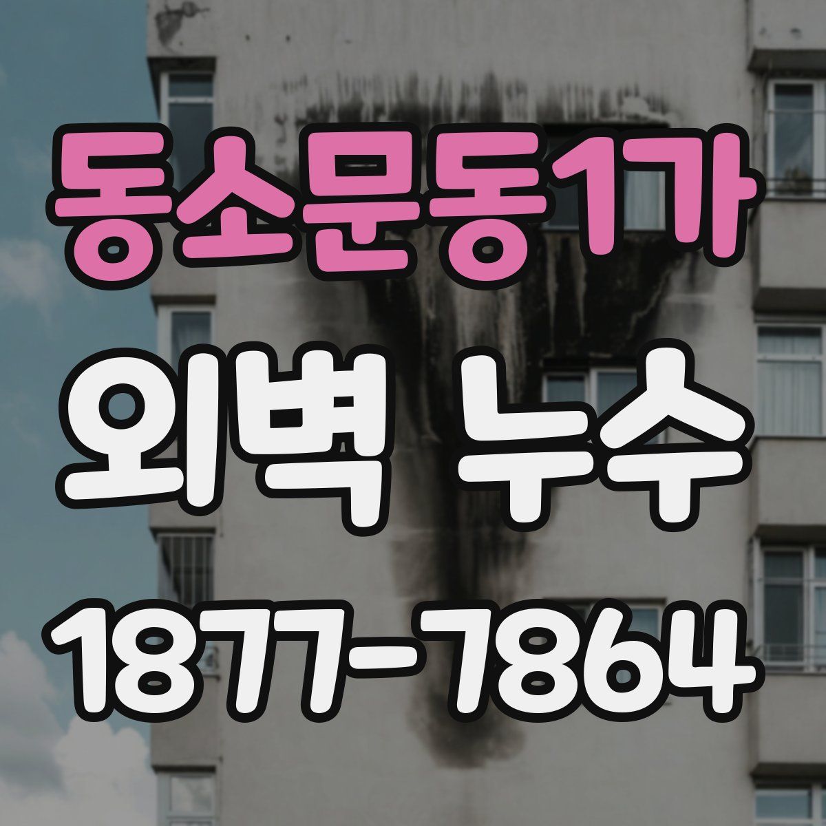 동소문동1가 외벽 누수