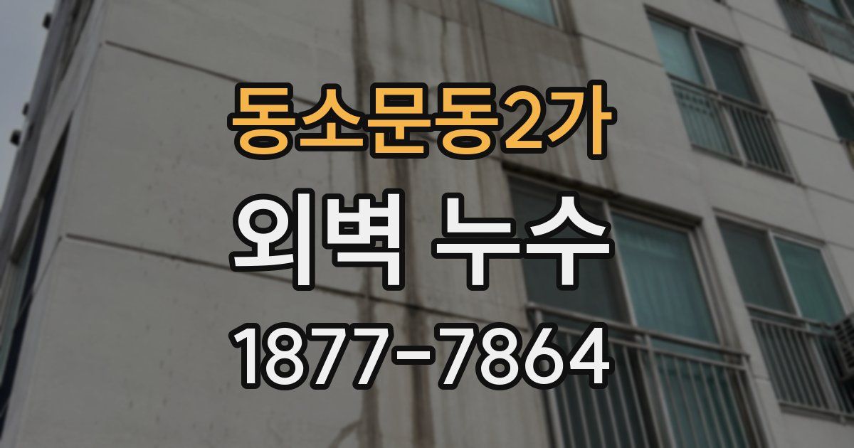 동소문동2가 외벽 누수